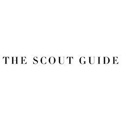 the scout guide
